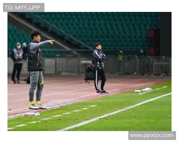 维特足球明星最新阵容揭晓球迷期待新赛季精彩表现