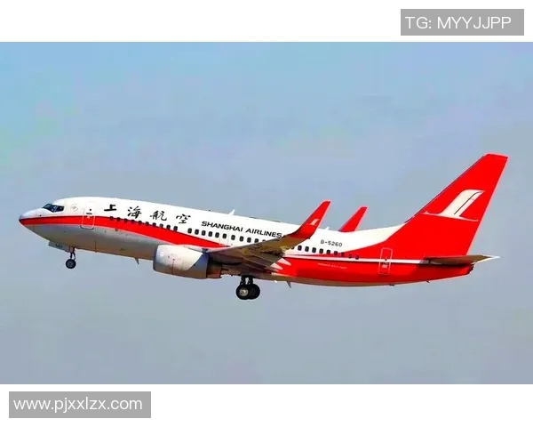 上海排球队逆袭之旅揭秘努力与坚持铸就辉煌成就 上海排球队逆袭之旅揭秘努力与坚持铸就辉煌成就