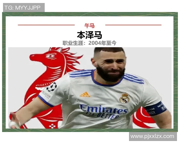 哪个生肖的足球明星数量最多揭示了体育界的生肖魅力与影响力 哪个生肖的足球明星数量最多揭示了体育界的生肖魅力与影响力