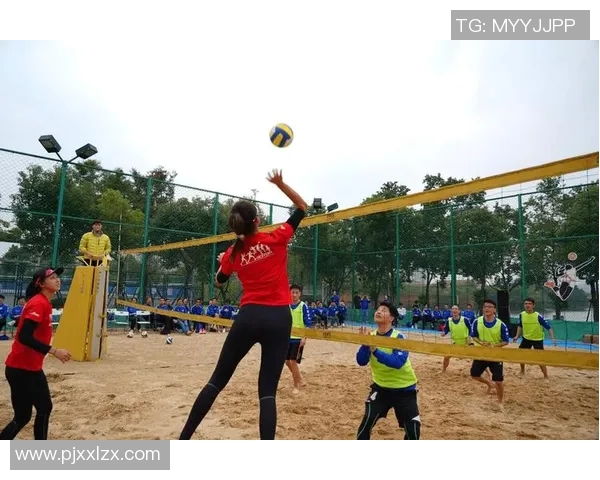 广州排球队挑战赛特别报道：从默默无闻到辉煌成就的奋斗历程