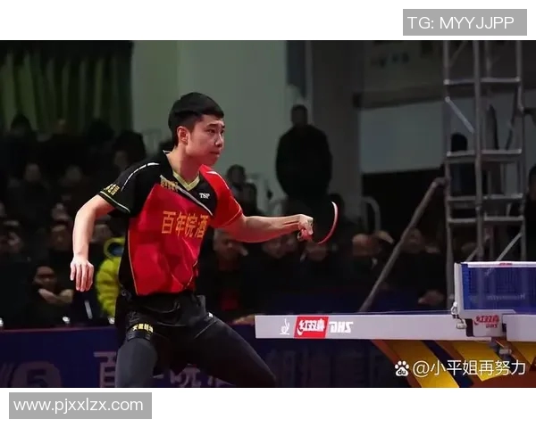 成都乒乓球队技术表现数据分析揭示运动员潜力与训练效果的关系