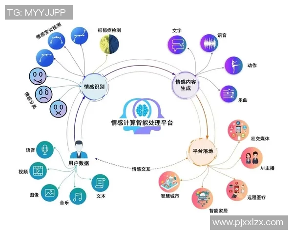 杭州排球队技术分析与战术创新的深度探讨与展望
