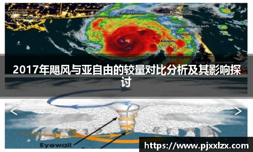 2017年飓风与亚自由的较量对比分析及其影响探讨